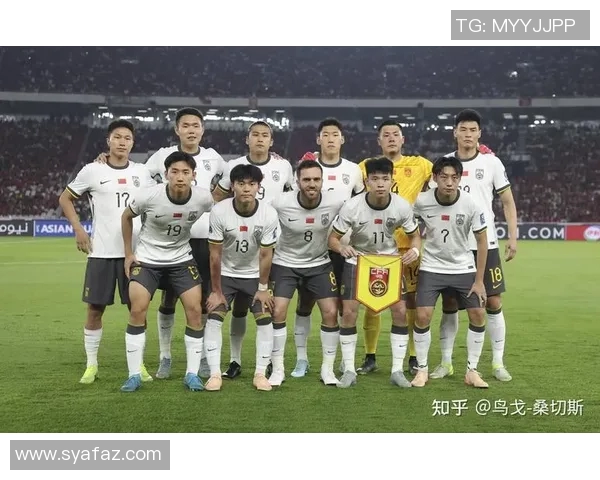 男足崛起:从青训到世界杯的奋斗历程与未来展望